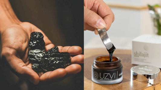 Shilajit resin VS Shilajit gummies