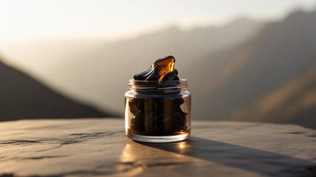 Is Shilajit Worth Buying? Real Benefits VS Marketing Hype