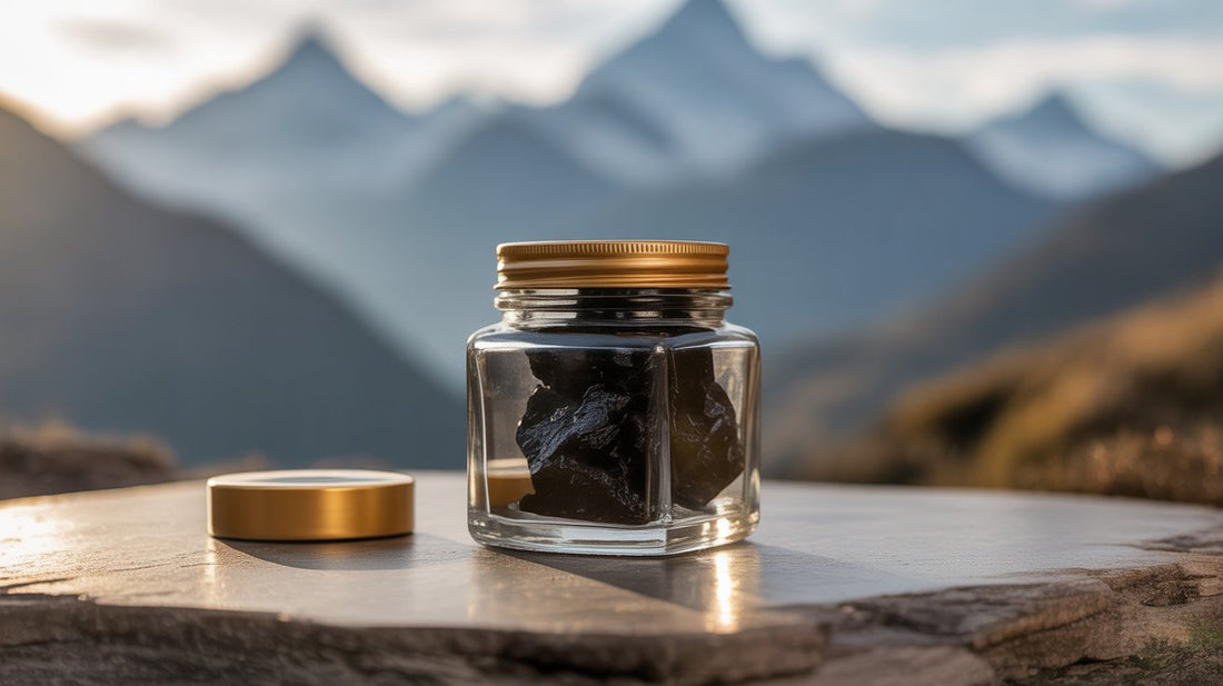 Top Rated Shilajit Brands in 2025 — What Makes a Brand Trustworthy?