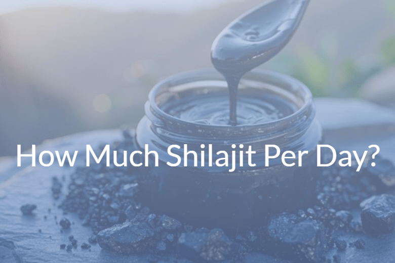 How Much Shilajit Per Day? Dosage Recommendations