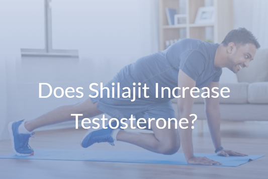 Does Shilajit Increase Testosterone?