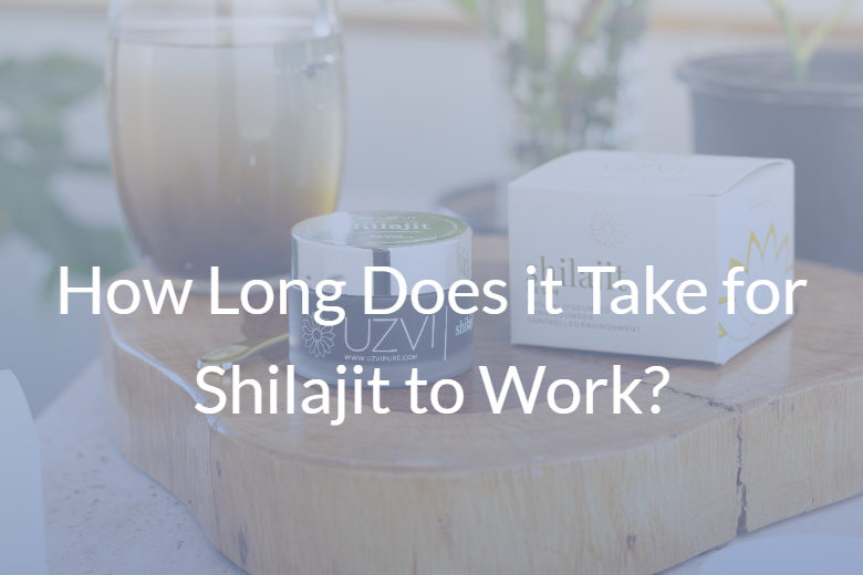 How Long Does it Take for Shilajit to Work?